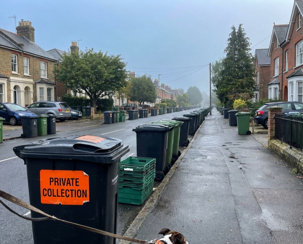 Residential street with bins in Angmering awaiting collection